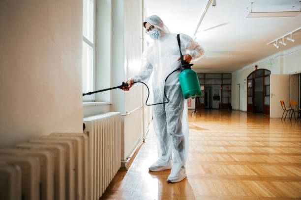 Best Affordable Pest Control Services  in Lake Lakengren, OH